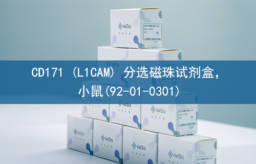 CD171 (L1CAM) 分选磁珠试剂盒，小鼠(92-01-0301)